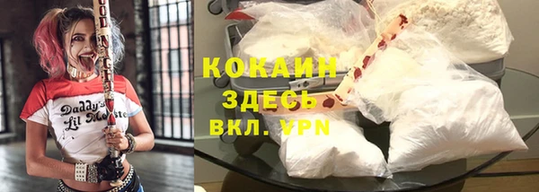 метадон Вяземский
