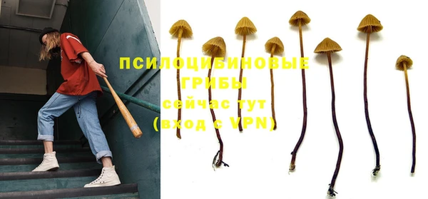 метадон Вяземский