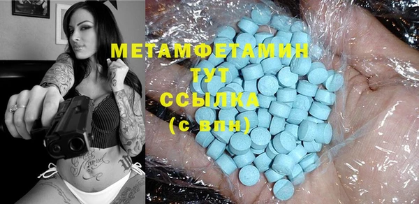 прущие грибы Вязьма