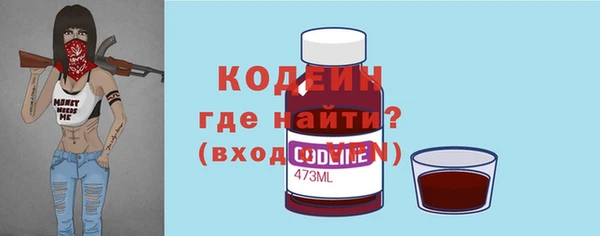 прущие грибы Вязьма