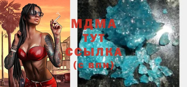 прущие грибы Вязьма