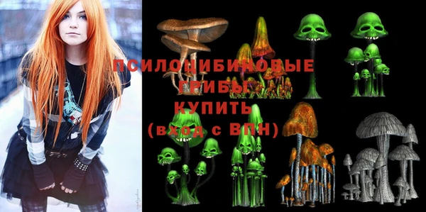 прущие грибы Вязьма