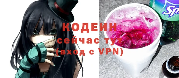 прущие грибы Вязьма