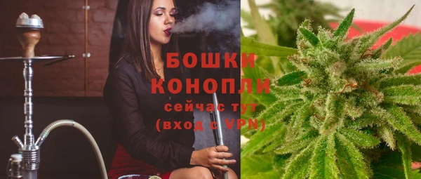 метадон Вяземский
