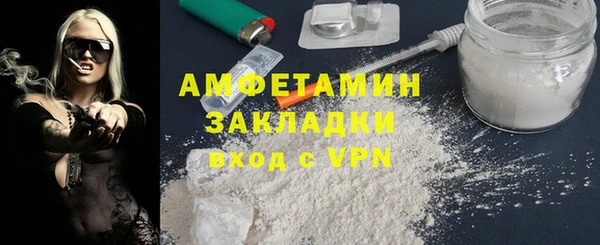 прущие грибы Вязьма