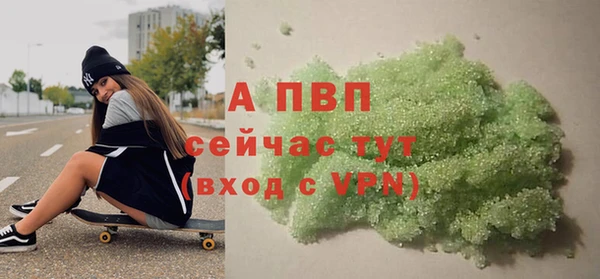 прущие грибы Вязьма
