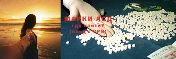 прущие грибы Вязьма
