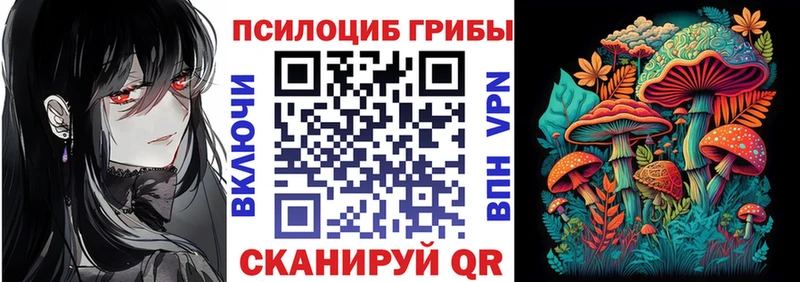 Псилоцибиновые грибы прущие грибы  Чусовой 